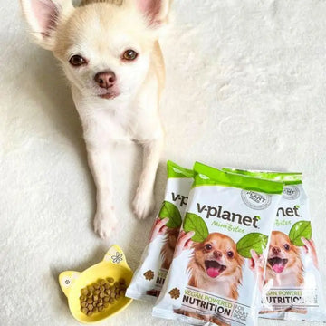 V - Planet Vegan Dog Food - Regular , Sample Pack 70 gms